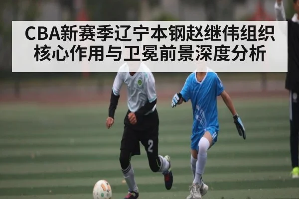 CBA新赛季辽宁本钢赵继伟组织核心作用与卫冕前景深度分析